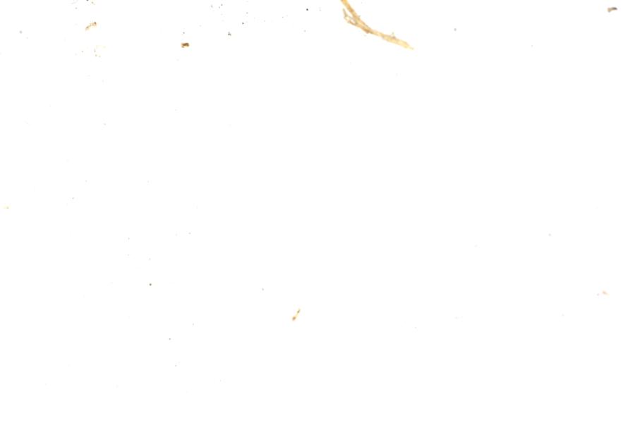 Image 41